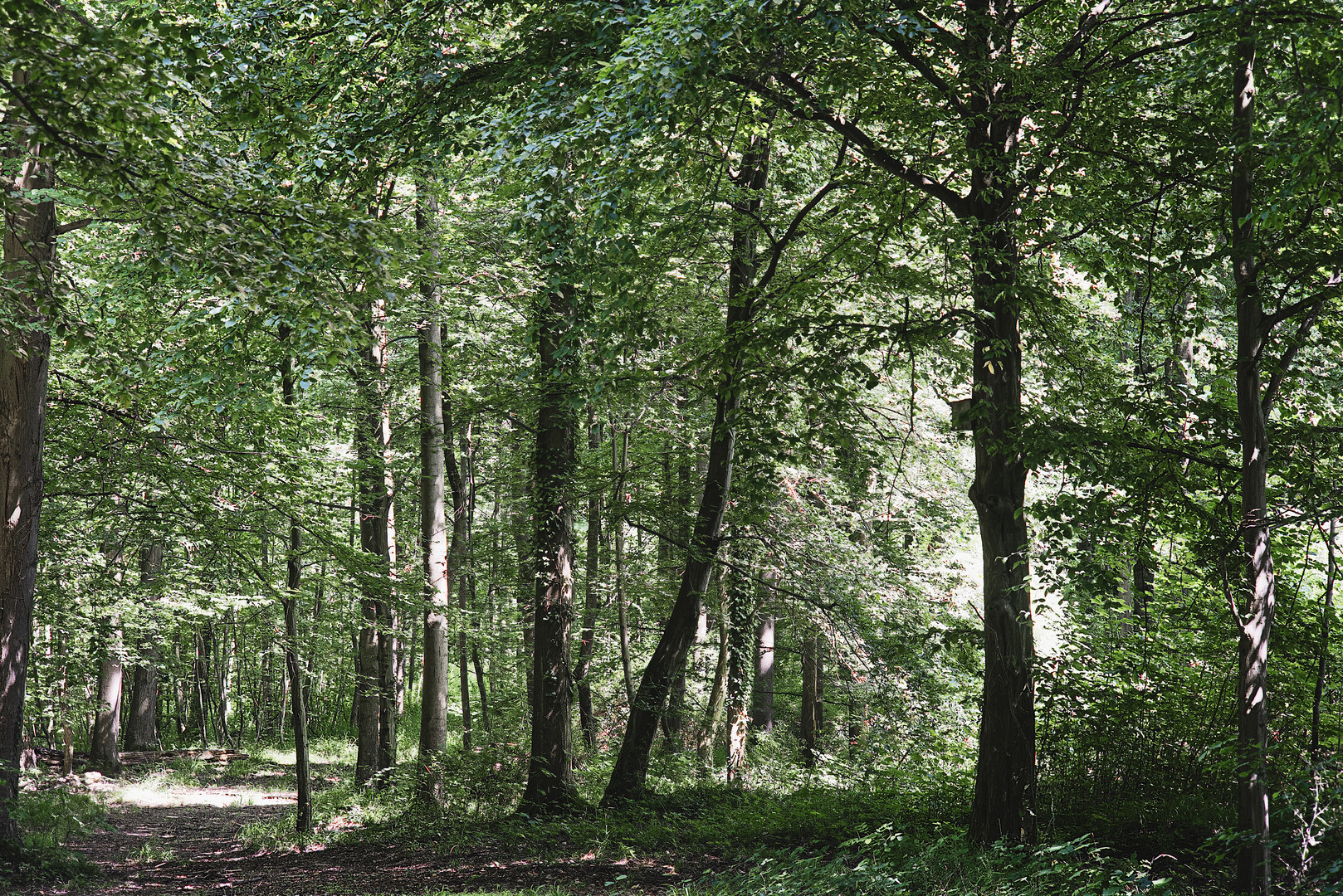 Groschenwasser-Grün