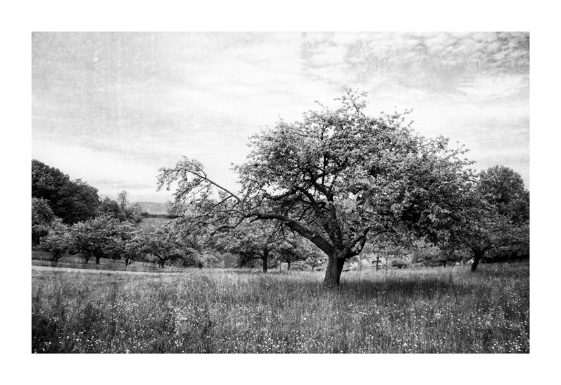 Groß Breitenbach #2