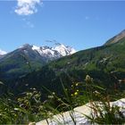 Groß Glockner