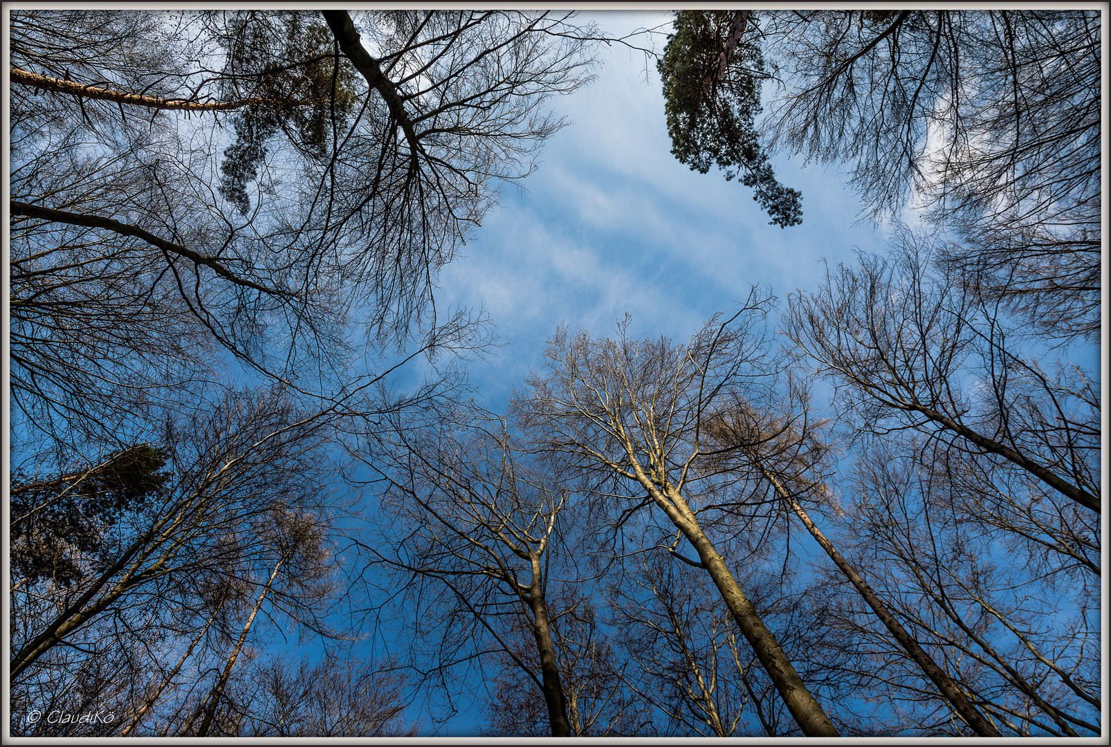 Groß ist die Mühe, den Himmel zu ersteigen ...