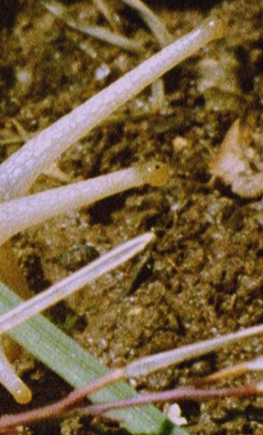 groß oder klein? Foto & Bild | quatsch, fun und rätselecke, rätselecke