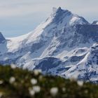 Gross Schärhorn 