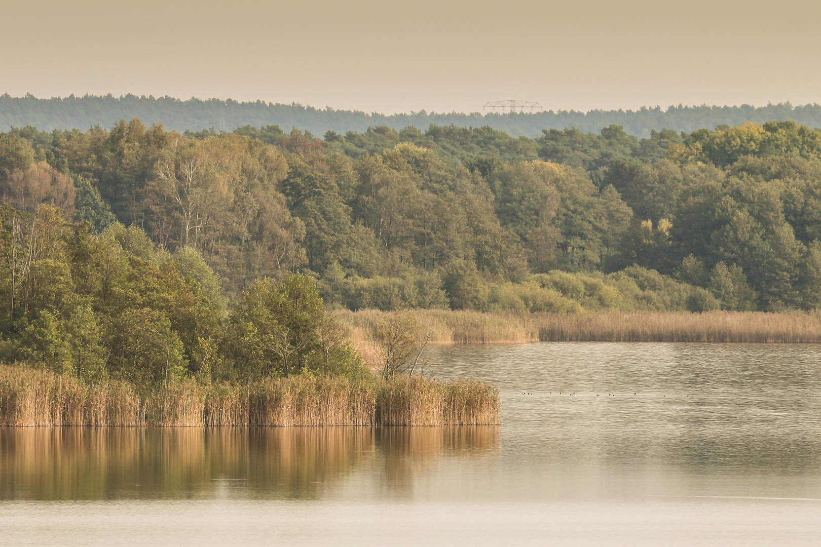 Groß Schauener See #2