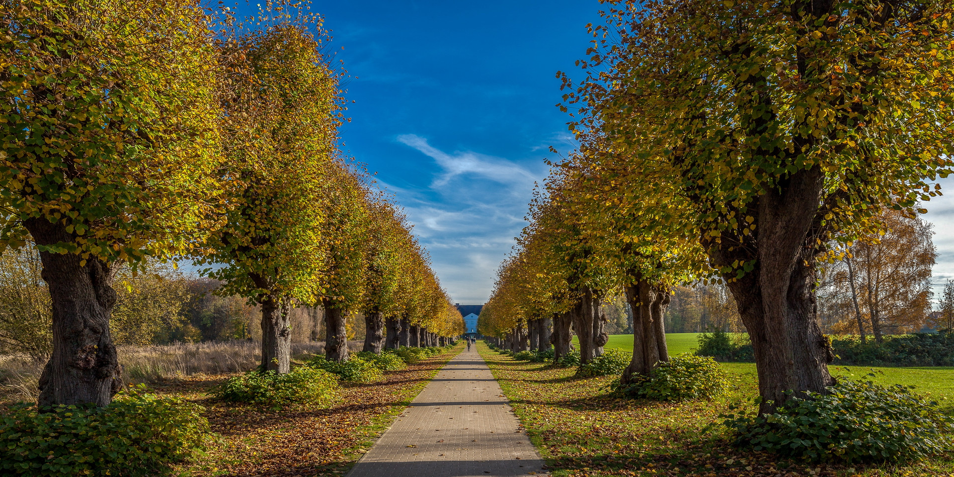 Groß Schwansee: Lindenallee