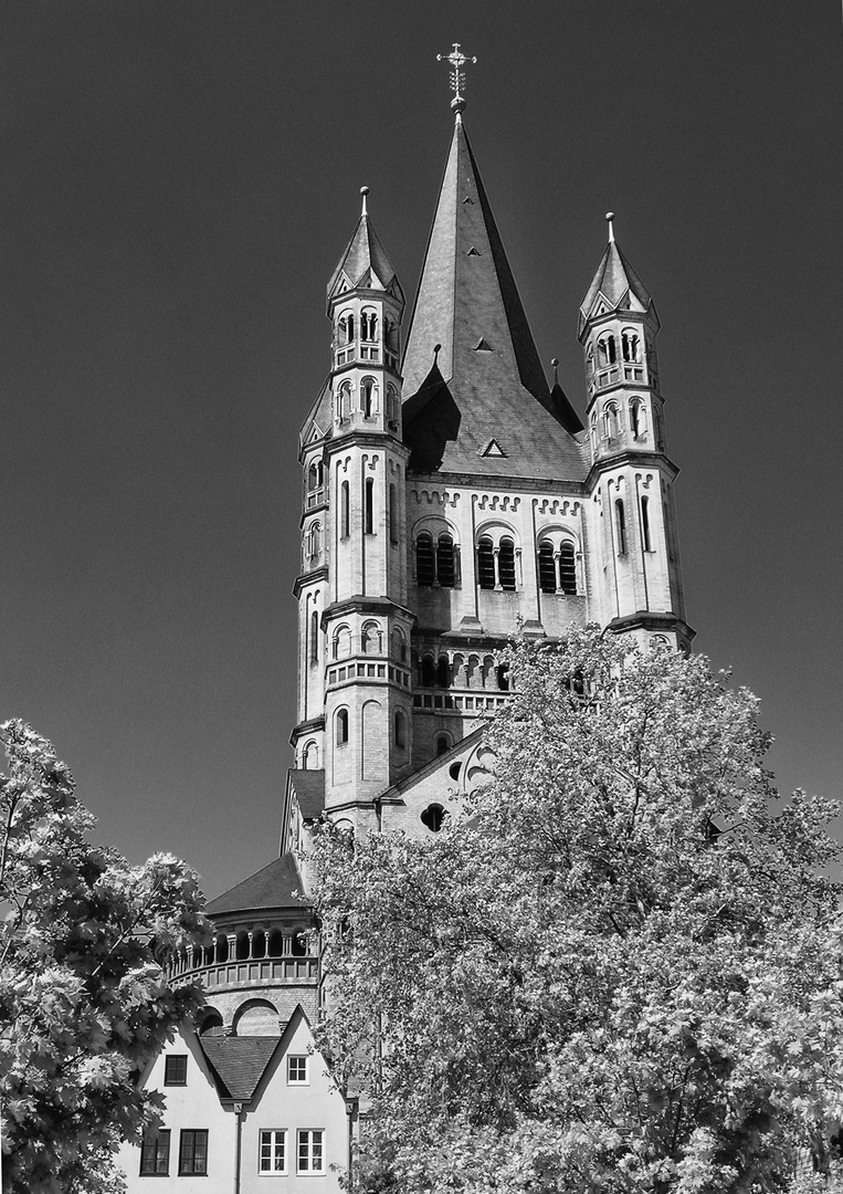 Groß St. Martin (Altstadt)