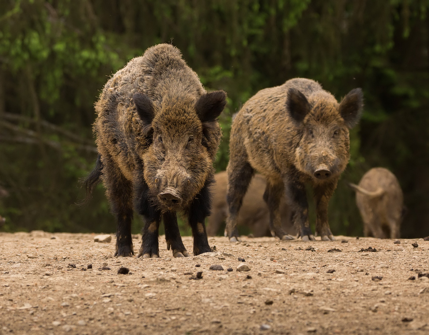 Groß und Klein Foto & Bild natur Bilder auf