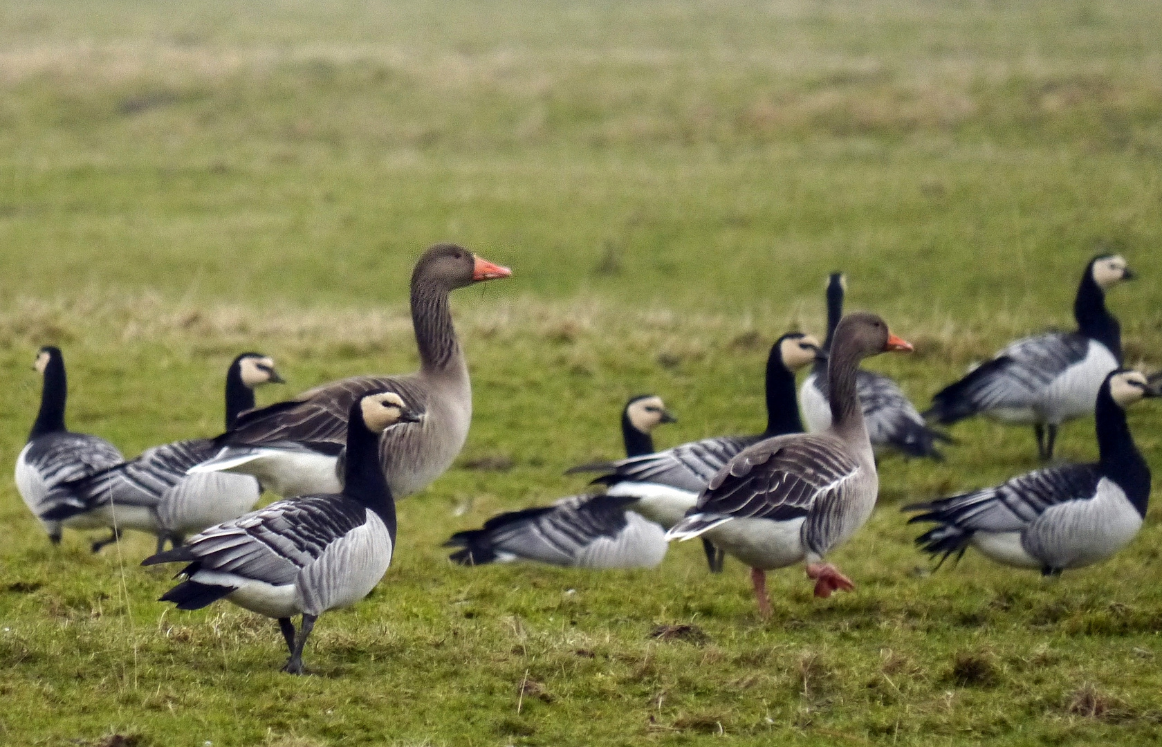 Groß und klein