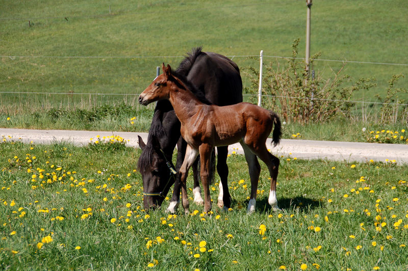 Groß und Klein