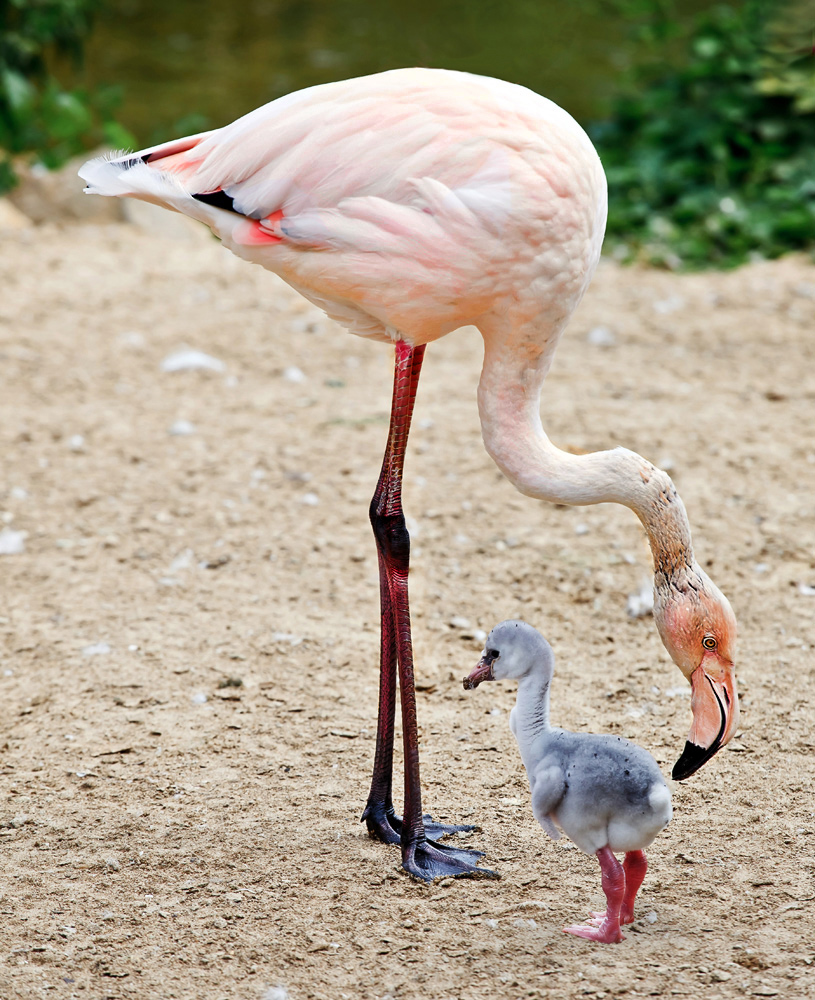 Groß und klein