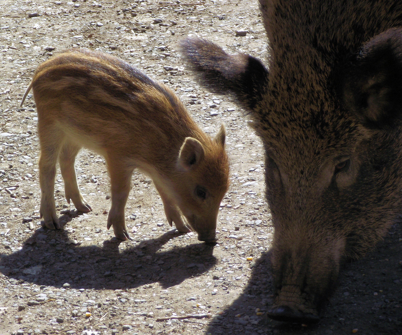 groß und klein