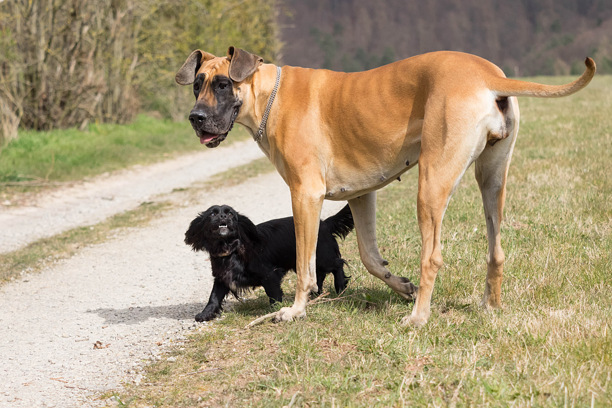 Groß und klein