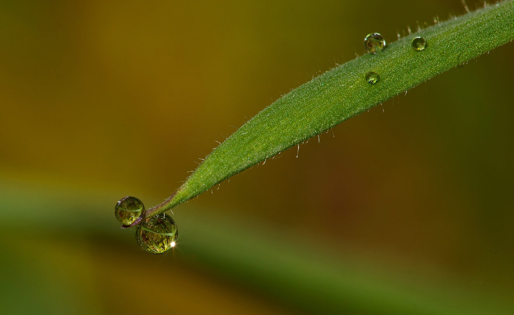 gross und klein