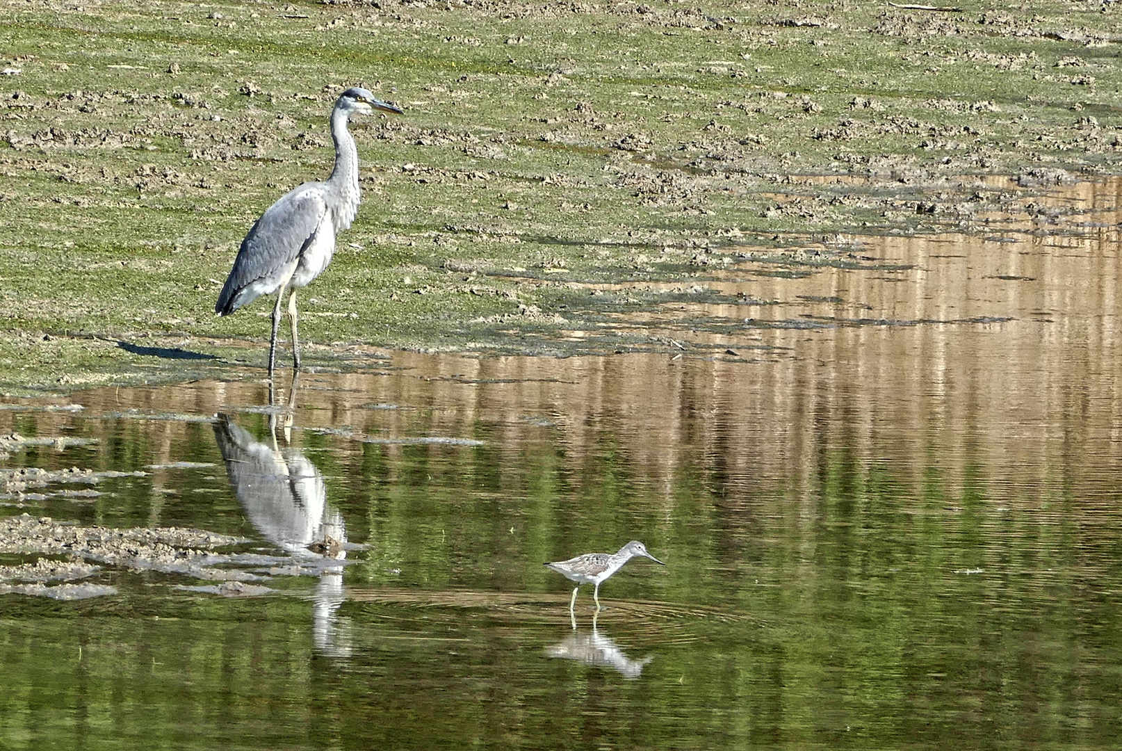 Groß und Klein