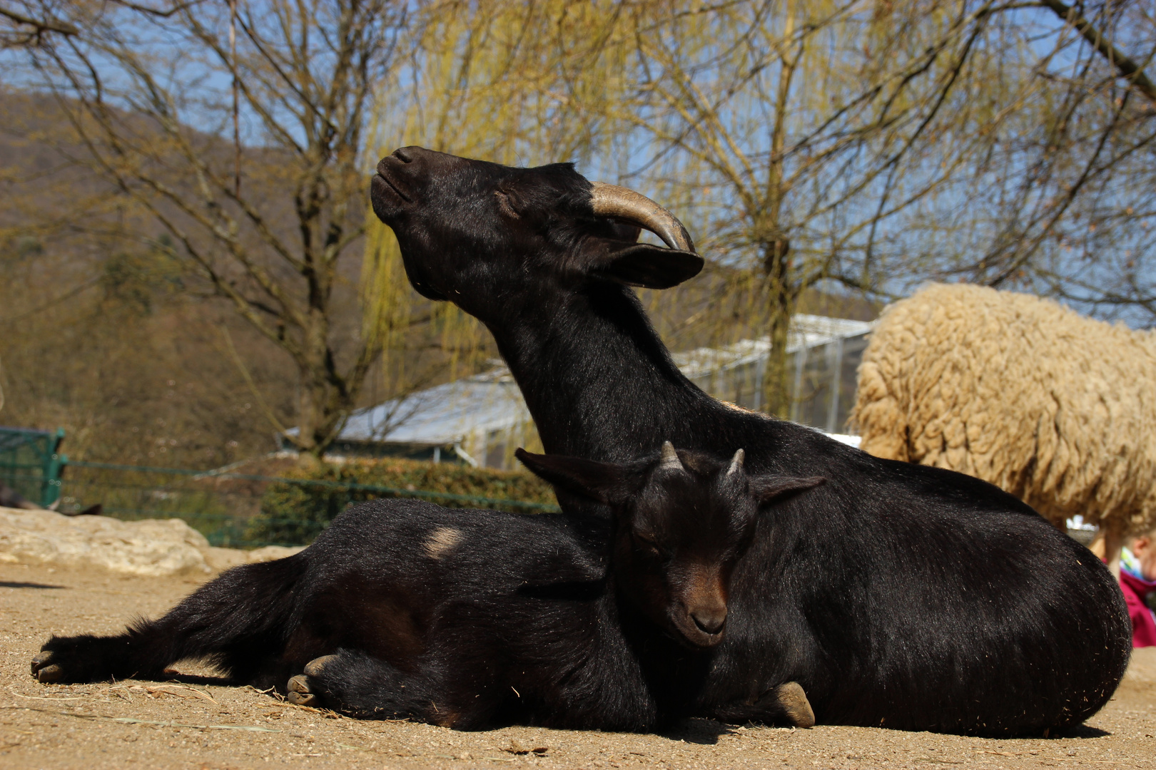 Groß und Klein