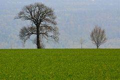 groß und klein