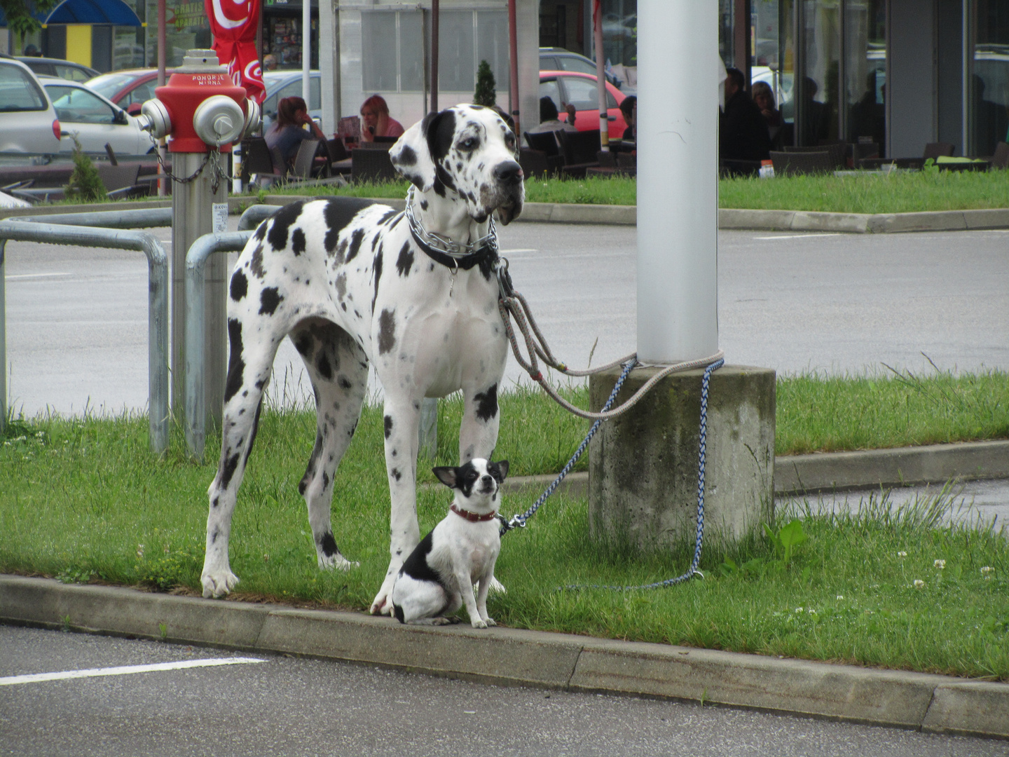 Groß und klein I