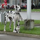 Groß und klein I