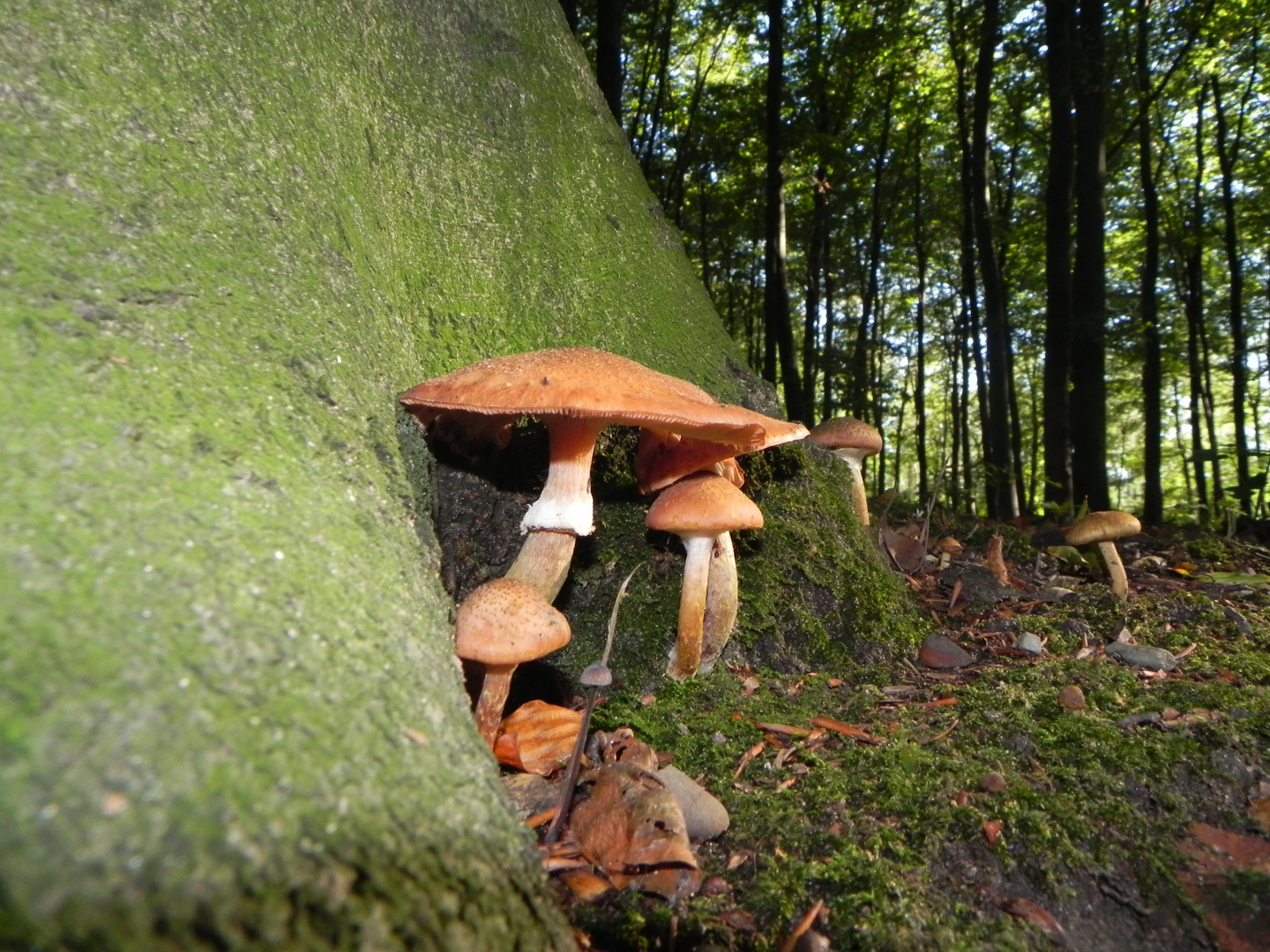 Gross und klein nebeneinander