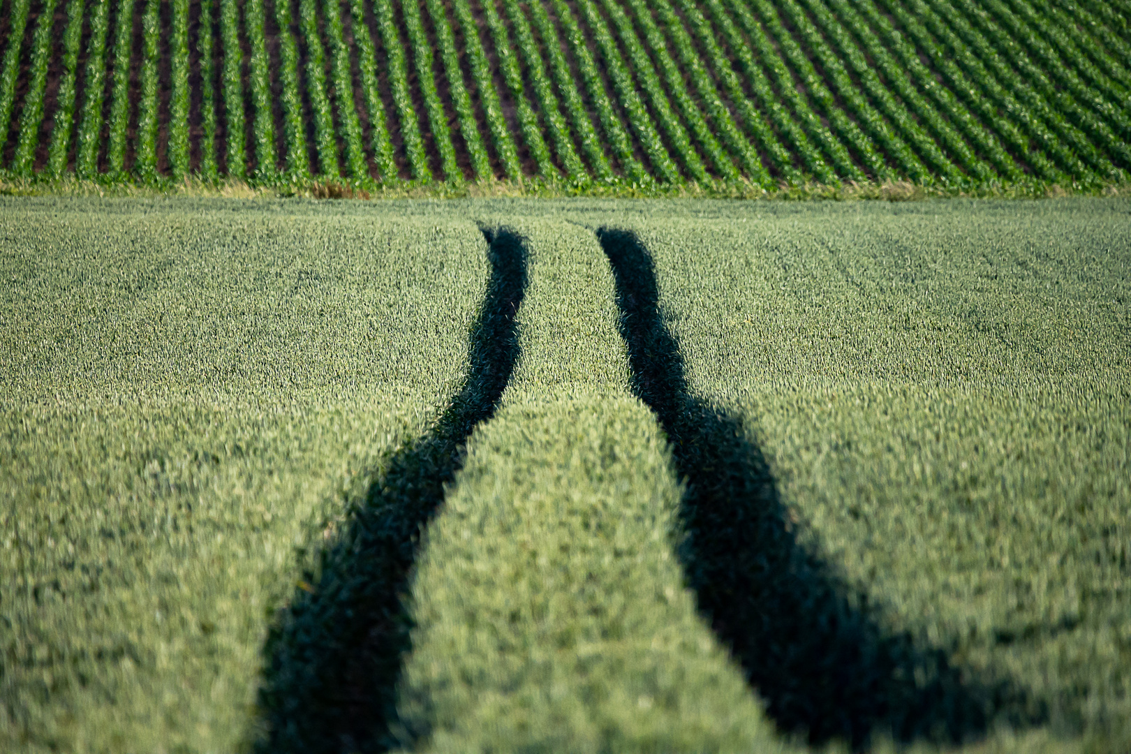 Groß und Klein, Spuren in der Natur