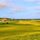 Groß Zicker auf Rügen - ein Traum