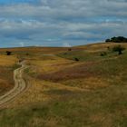 Groß Zicker/Mönchgut