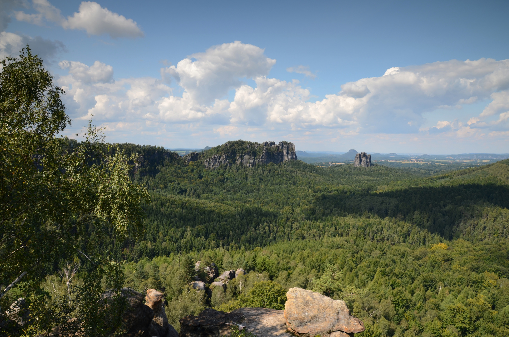 Großartige Landschaft aus Fels und Wald