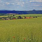 Großartige Sicht am frühen Nachmittag auf dem Heimweg von der Nollendorfer Höhe