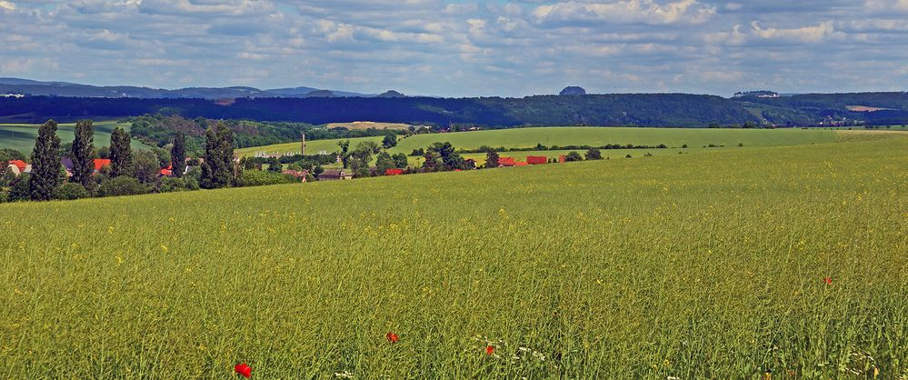 Großartige Sicht am frühen Nachmittag auf dem Heimweg von der Nollendorfer Höhe