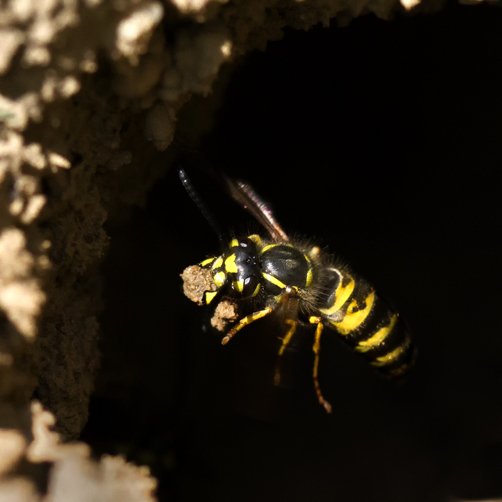 Großbaustelle auf meinem Acker