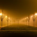 Grossberliner Damm bei Nebel