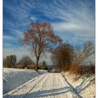 grossdeinbach - south of germany - winter,