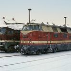 Großdieselloks in Neubrandenburg 1991