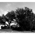 Großdolmen von Mechendorf...