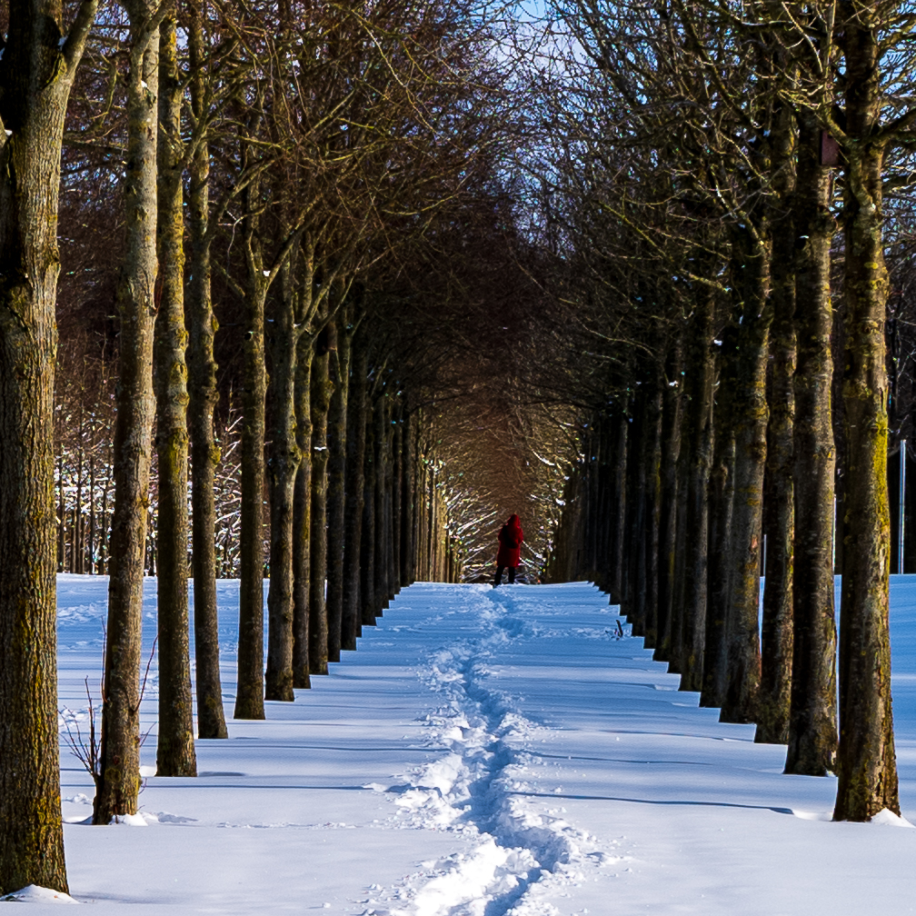 Große Allee...