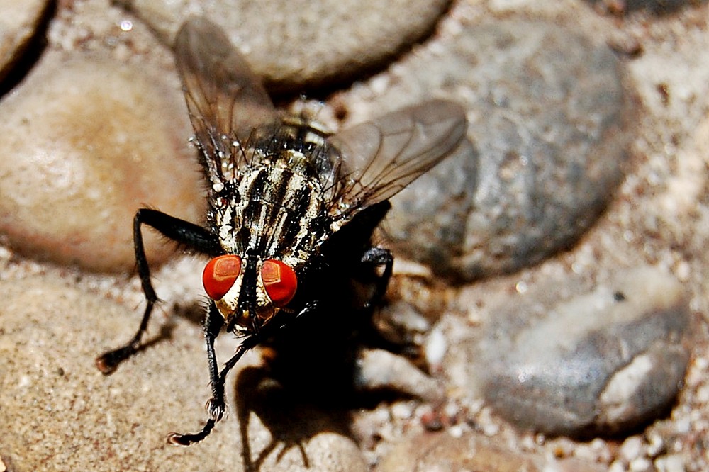 große augen machen