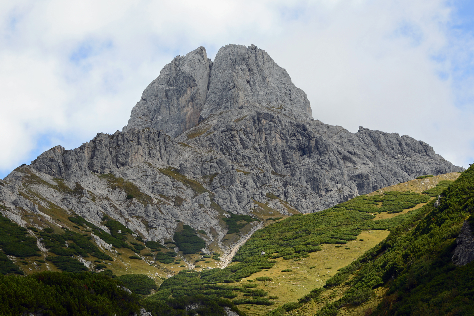 Große Bischofsmütze 