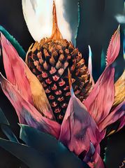 große Bromelienblüte als 'Inspire'-Bild