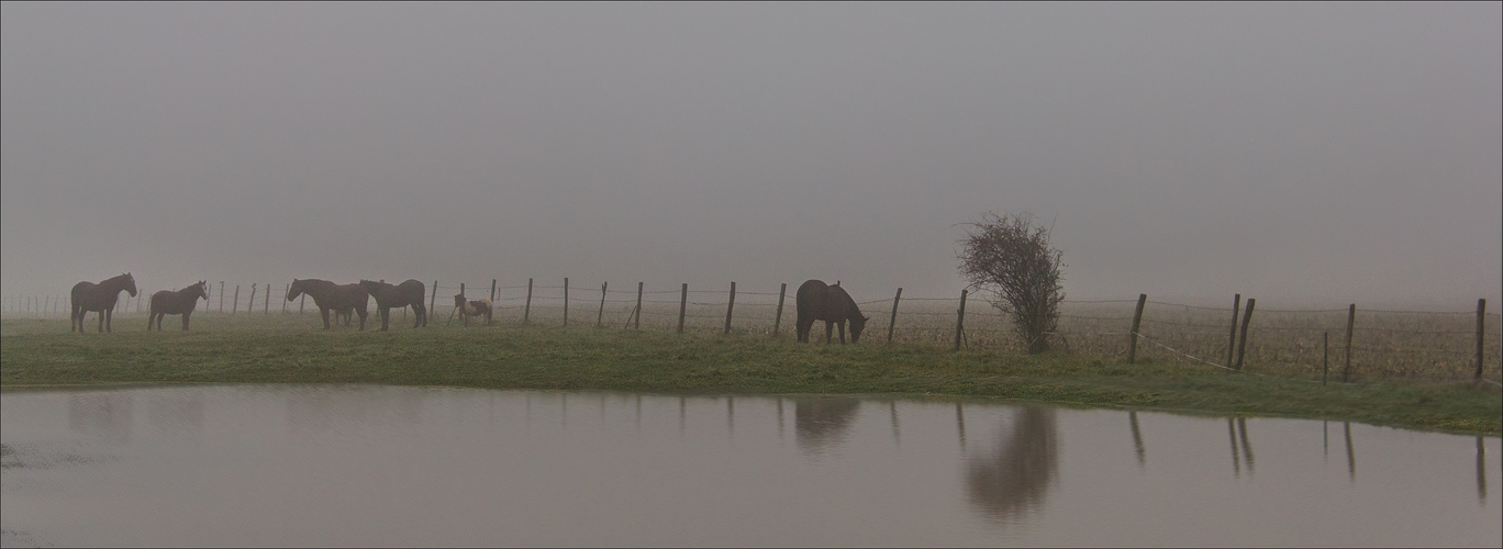 Grosse brume sur Carnetin .