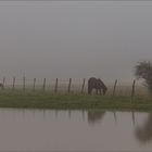 Grosse brume sur Carnetin .