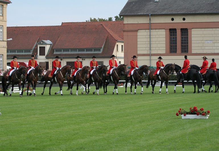 große Dressurquadrille