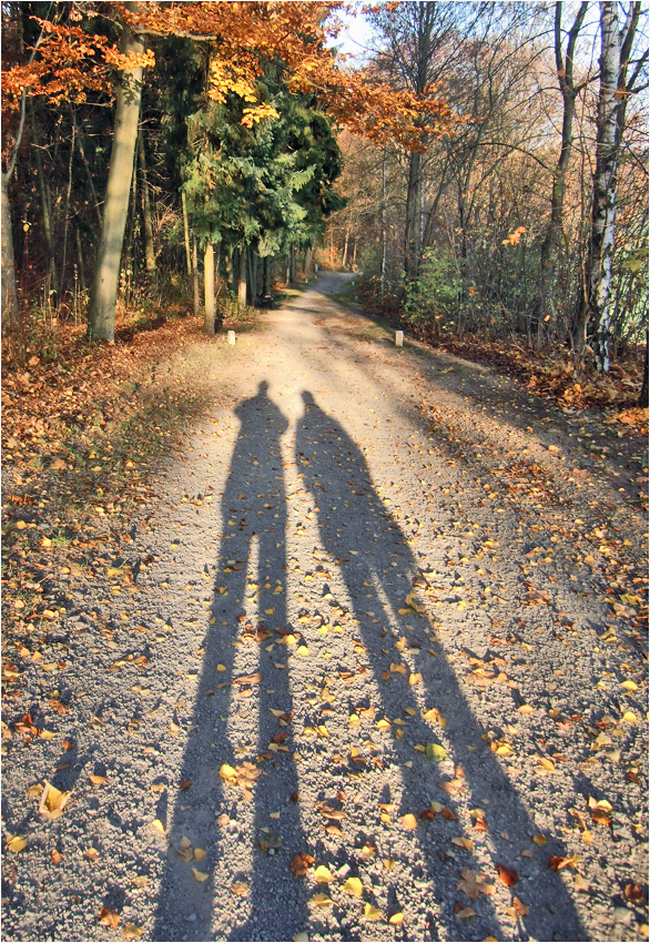 große Ereignisse werfen ihre Schatten voraus