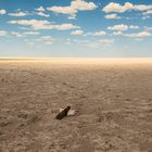 Große Etosha-Pfanne. Es war einmal ...