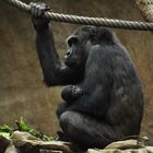 Große Freude im Leipziger Zoo