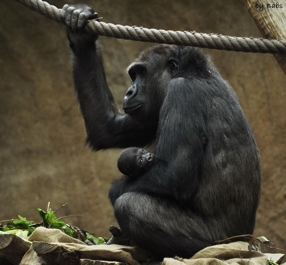 Große Freude im Leipziger Zoo