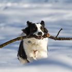 Große Freude im Schnee