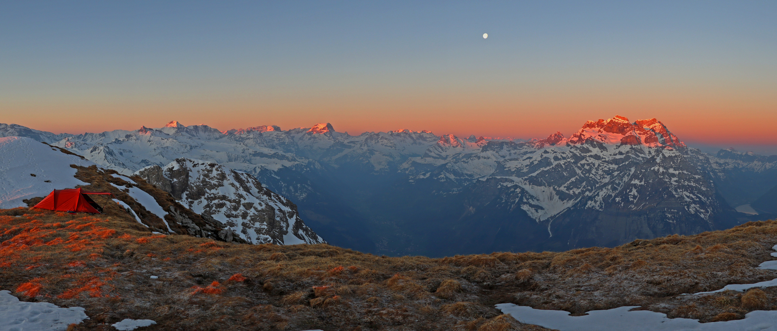 Grosse Glarner im besten Licht