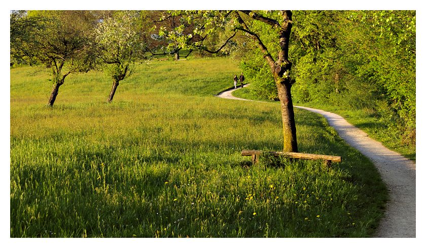 Große Landschaften mit kleinen Leuten #3: Weg