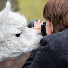 große Liebe