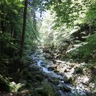 Große Ohe, Bayerischer Wald