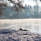 Große Plöner See - Anleger Fegetasche